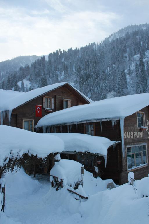 Kuspuni Dag Evi Βίλα Çamlıhemşin Εξωτερικό φωτογραφία